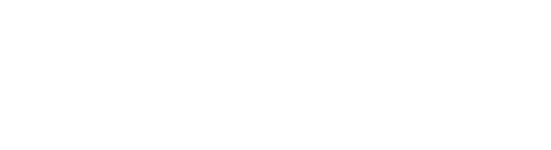 flash logo full.png