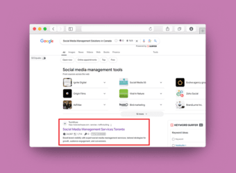 TechWyse - #1 in Canada for Social Media Management 6 Safari Yosemite freebie 7