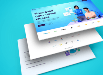 Apps Flayer – Advanced Data-Driven App Growth Platform 7 WordPress Developer in Pakistan